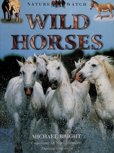 Tapa de Wild Horses