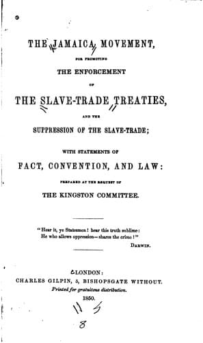 Tapa de The Jamaica movement