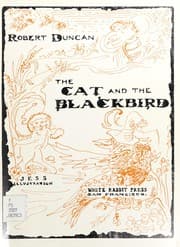 Tapa de The cat and the blackbird
