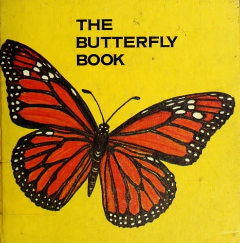 Tapa de The butterfly book