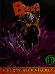 Tapa de Bees