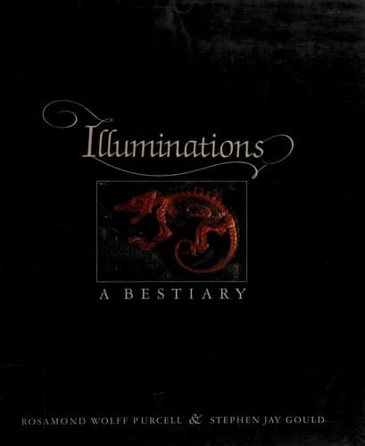 Tapa de Illuminations