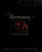 Tapa de Illuminations