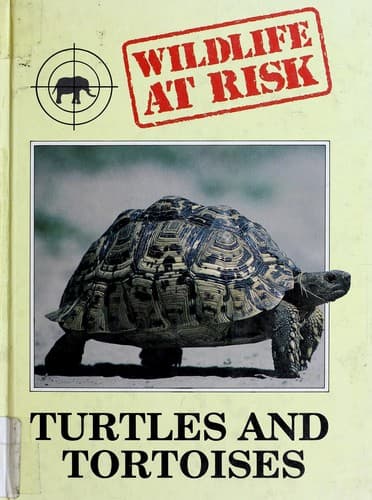 Tapa de Turtles and tortoises