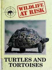 Tapa de Turtles and tortoises