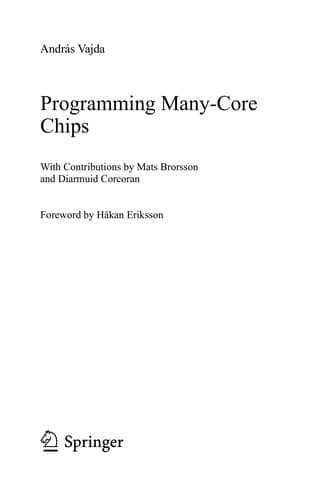 Tapa de Programming many-core chips