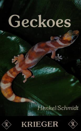 Tapa de Geckoes