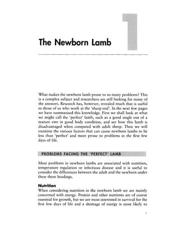 Tapa de Practical lambing and lamb care
