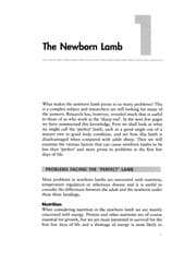 Tapa de Practical lambing and lamb care