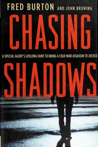 Tapa de Chasing shadows