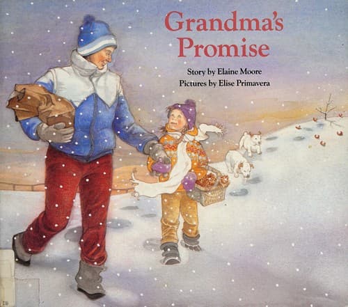 Tapa de Grandma's promise