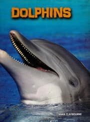 Tapa de Dolphins