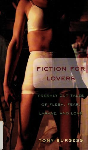 Tapa de Fiction for Lovers