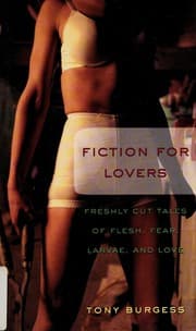 Tapa de Fiction for Lovers