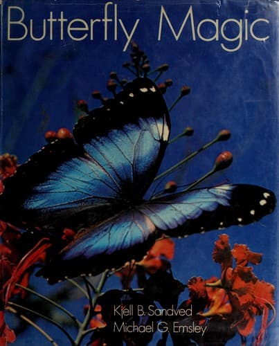 Tapa de Butterfly magic