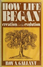 Tapa de How life began