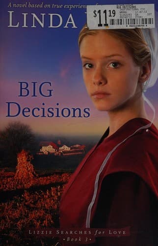 Tapa de Big decisions
