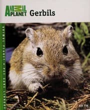 Tapa de Gerbils