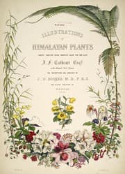 Tapa de Illustrations of Himalayan plants
