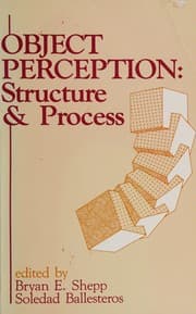 Tapa de Object perception