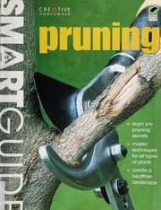 Tapa de Pruning