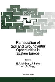 Tapa de Remediation of Soil and Groundwater