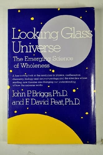 Tapa de Looking glass universe