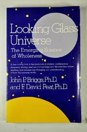 Tapa de Looking glass universe