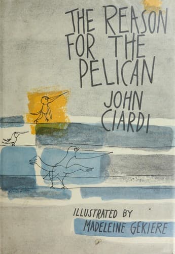 Tapa de The reason for the pelican.