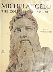 Tapa de Michelangelo, the complete sculpture