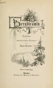 Tapa de Bergbleamln