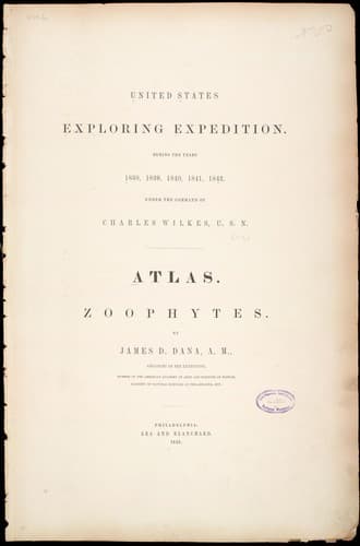Tapa de Zoophytes