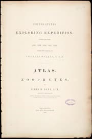 Tapa de Zoophytes