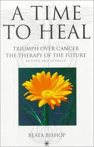 Tapa de A Time to Heal