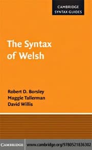 Tapa de SYNTAX OF WELSH