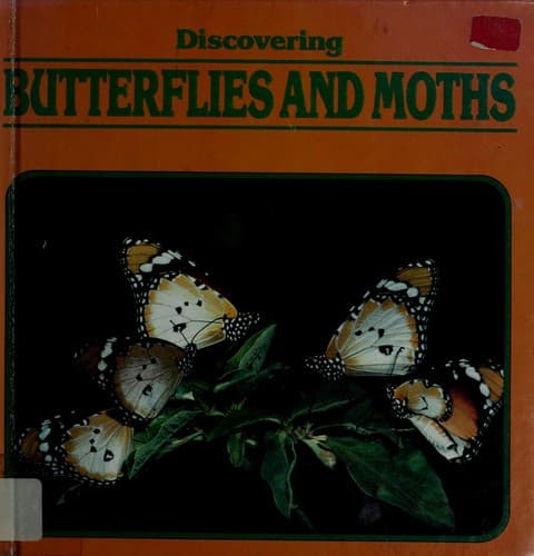 Tapa de Discovering butterflies and moths