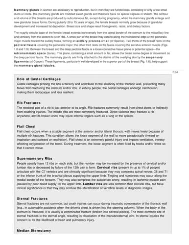 Tapa de Essential clinical anatomy