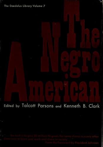 Tapa de The Negro American