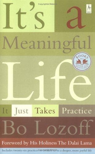 Tapa de It's a Meaningful Life