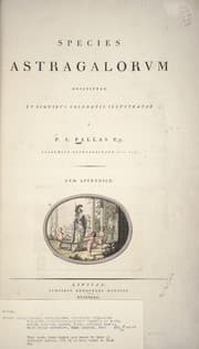 Tapa de Species astragalorvm descriptae et iconibvs coloratis illvstratae