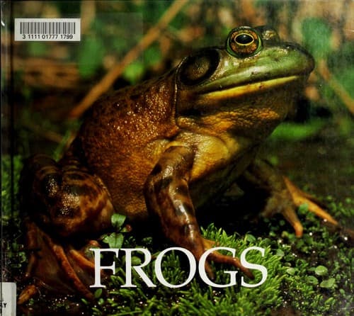 Tapa de Frogs