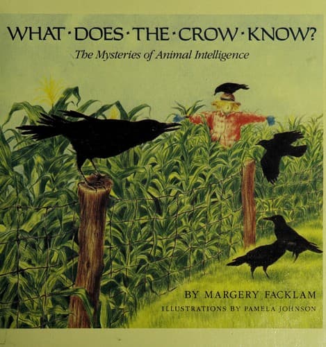 Tapa de What does the crow know?