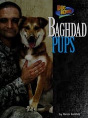 Tapa de Baghdad pups