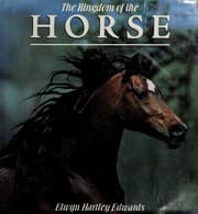 Tapa de The Kingdom of the horse