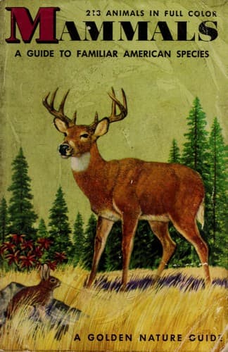 Tapa de Mammals