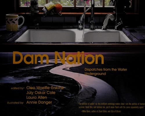 Tapa de Dam Nation