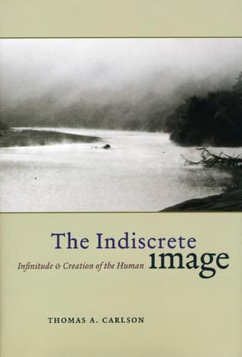 Tapa de The indiscrete image