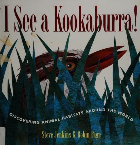 Tapa de I see a kookaburra!