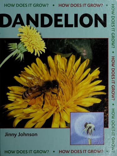 Tapa de Dandelion