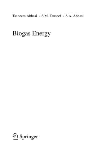 Tapa de Biogas energy